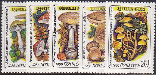 Soviet Russia - 1986-1990 YEAR 1986 Scott 5454-8 Michel 5603-7 